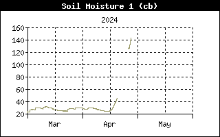Soil Moisture History, 8 cm