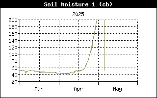 Soil Moisture History, 8 cm