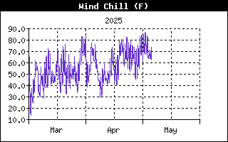 Wind Chill History