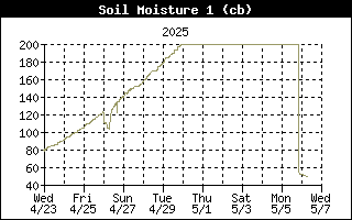 Soil Moisture History, 8 cm