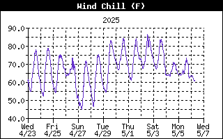 Wind Chill History