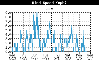 Wind Speed History