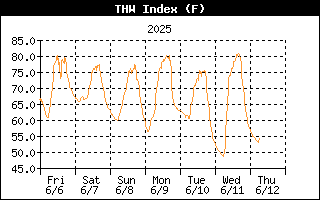 THW Index History